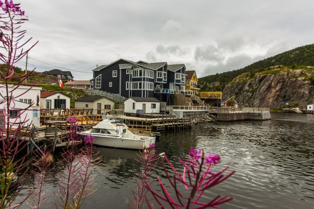 Quidi Vidi