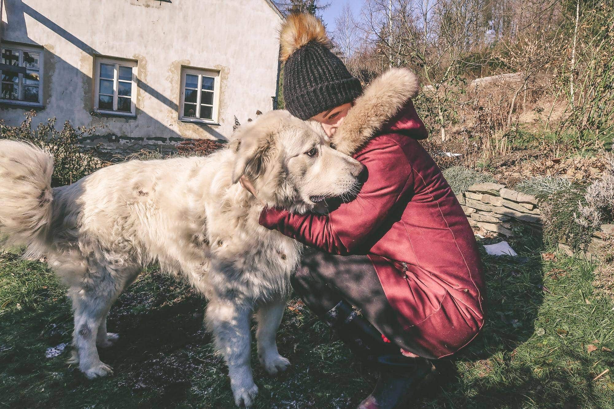 pilnowanie domu zakwaterowanie