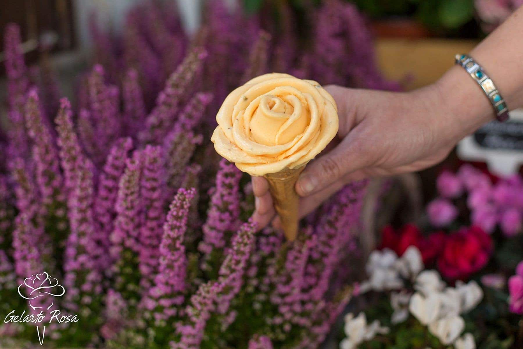 What to do in Budapest, go to Gelarto Rosa Budapest