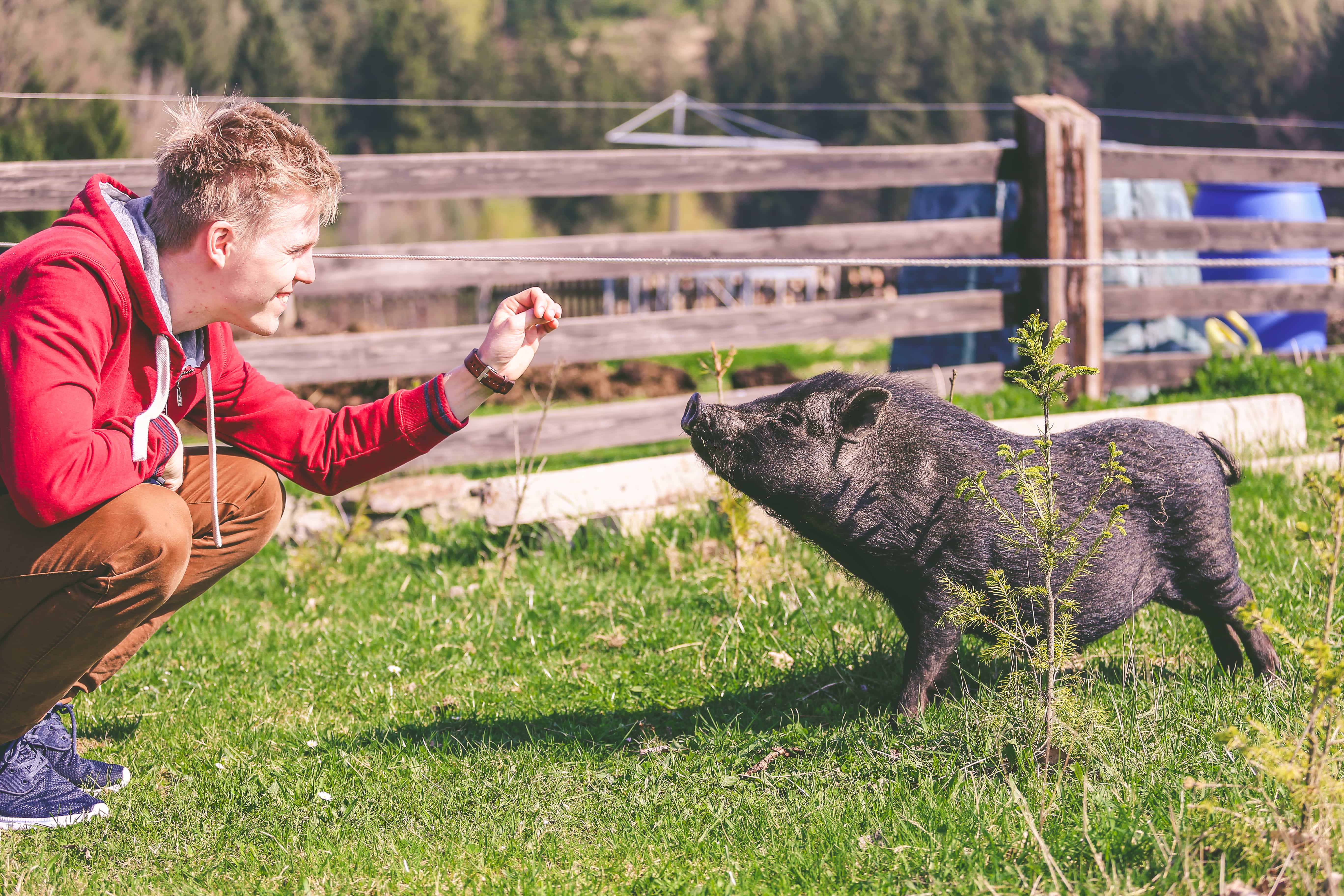 bezpłatne zakwaterowanie couchsurfing