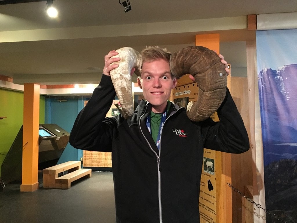 První seznámení s beranem a horskou kozou