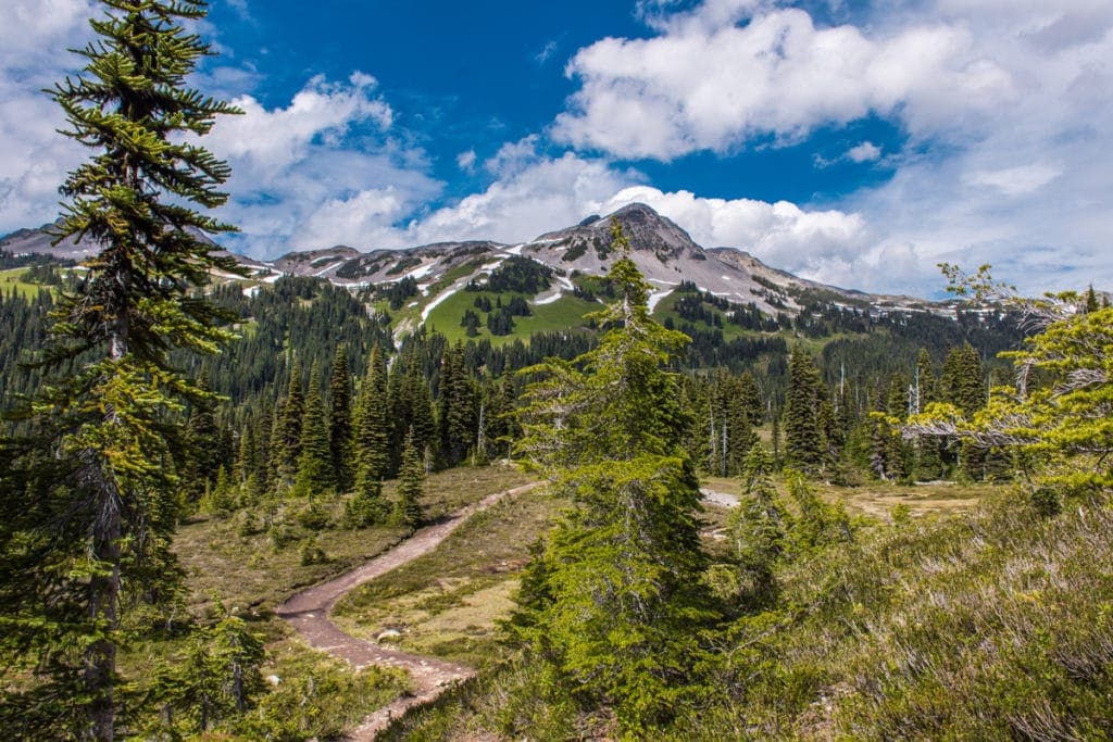 Jak z reklamy na Milku