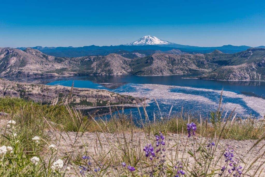 Pohled z Harry's Ridge Trail