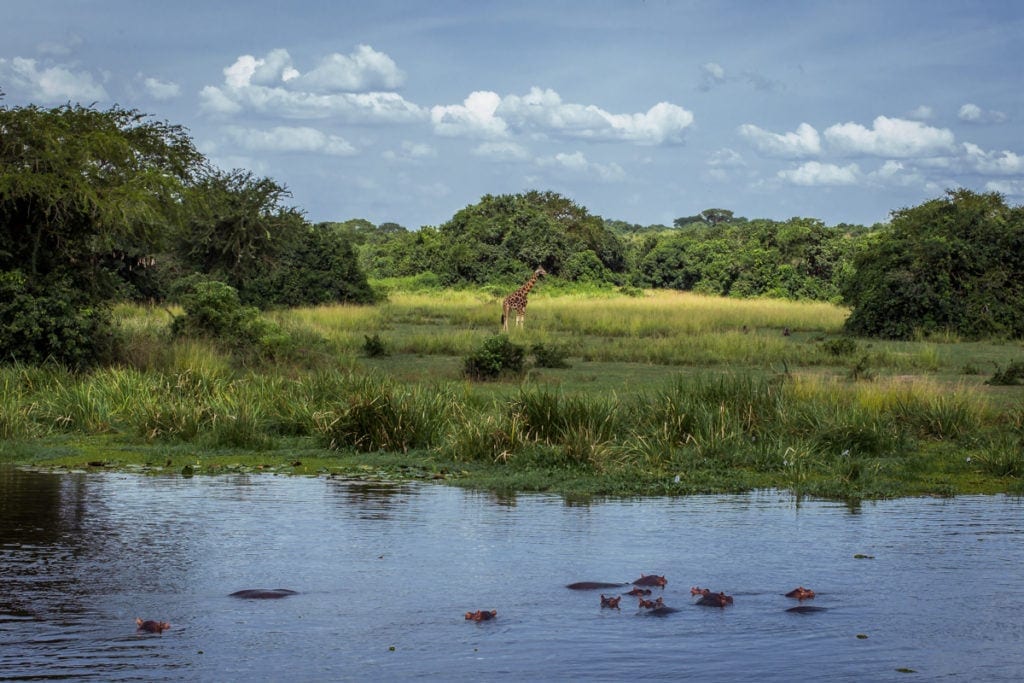 Výhled z lodě plující na Nilu