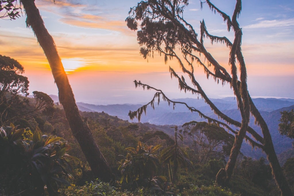 Nádherné ráno v ugandských horách