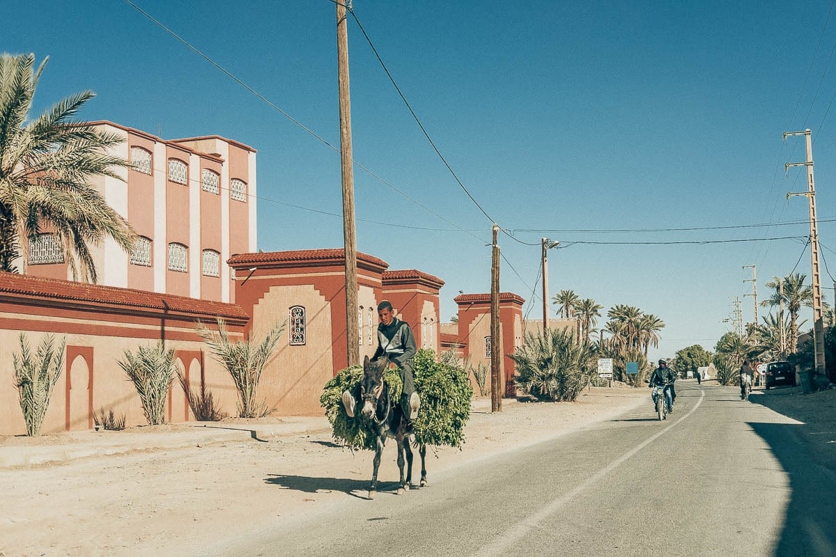 Dostępne są przejażdżki na osiołkach i wielbłądach