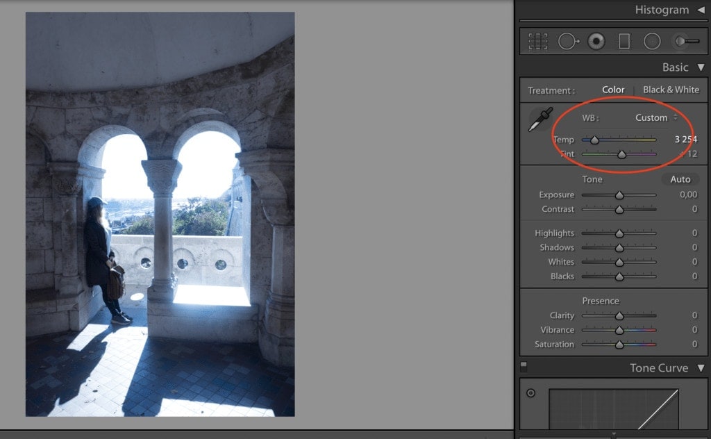 Jak upravovat fotky v Lightroomu a používat presety 3 presety v Lightroomu