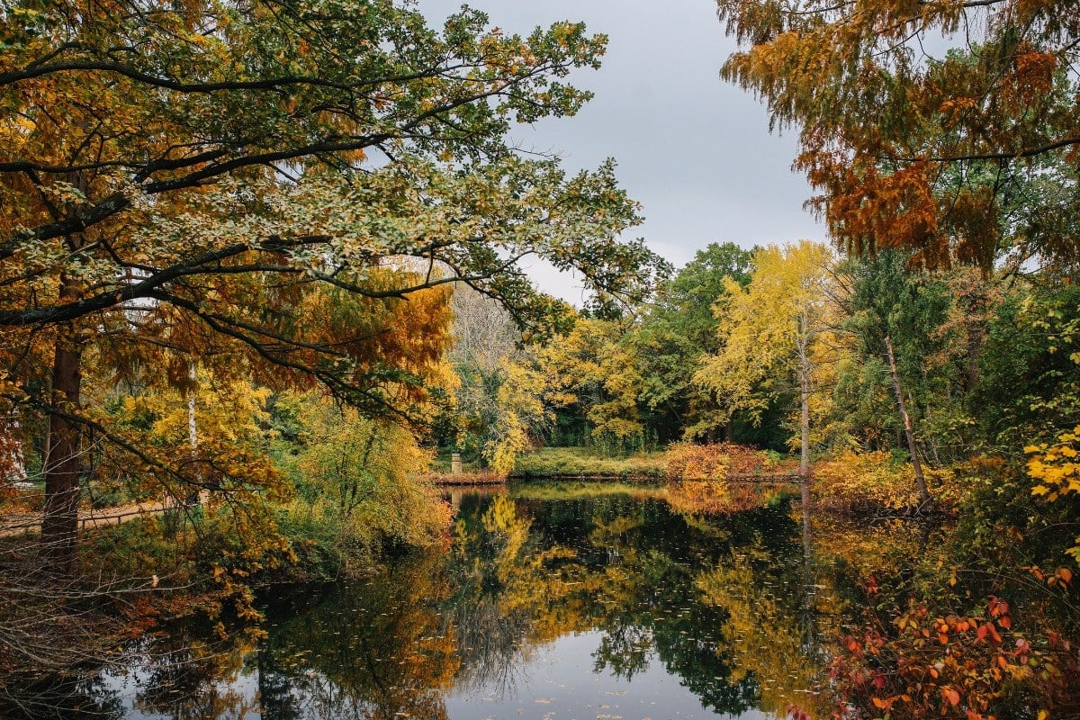 Tiergarten Park