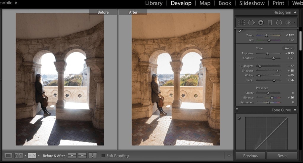 Jak upravovat fotky v Lightroomu a používat presety 6 Vibrance neboli zivost 1024x551 1