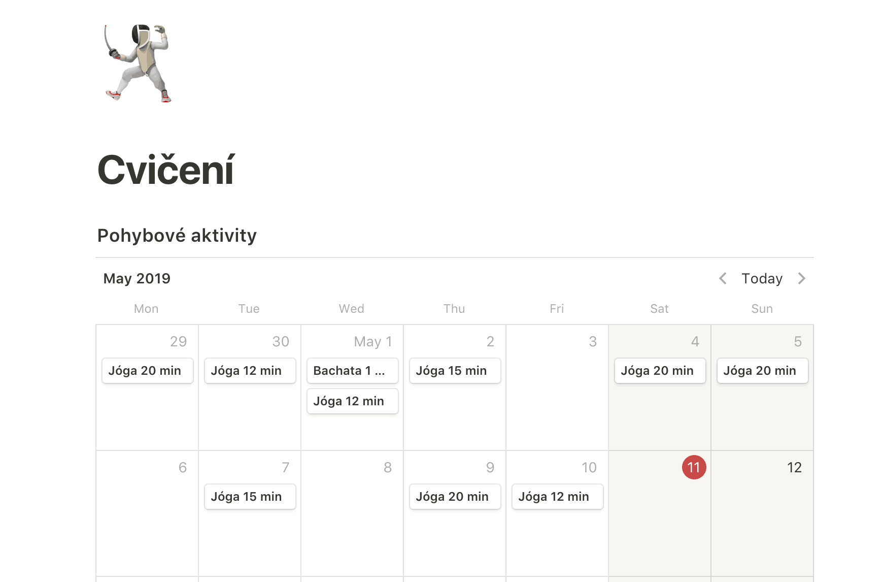 Notion: Jak jsem si konečně zorganizoval život 9 cviceni notion