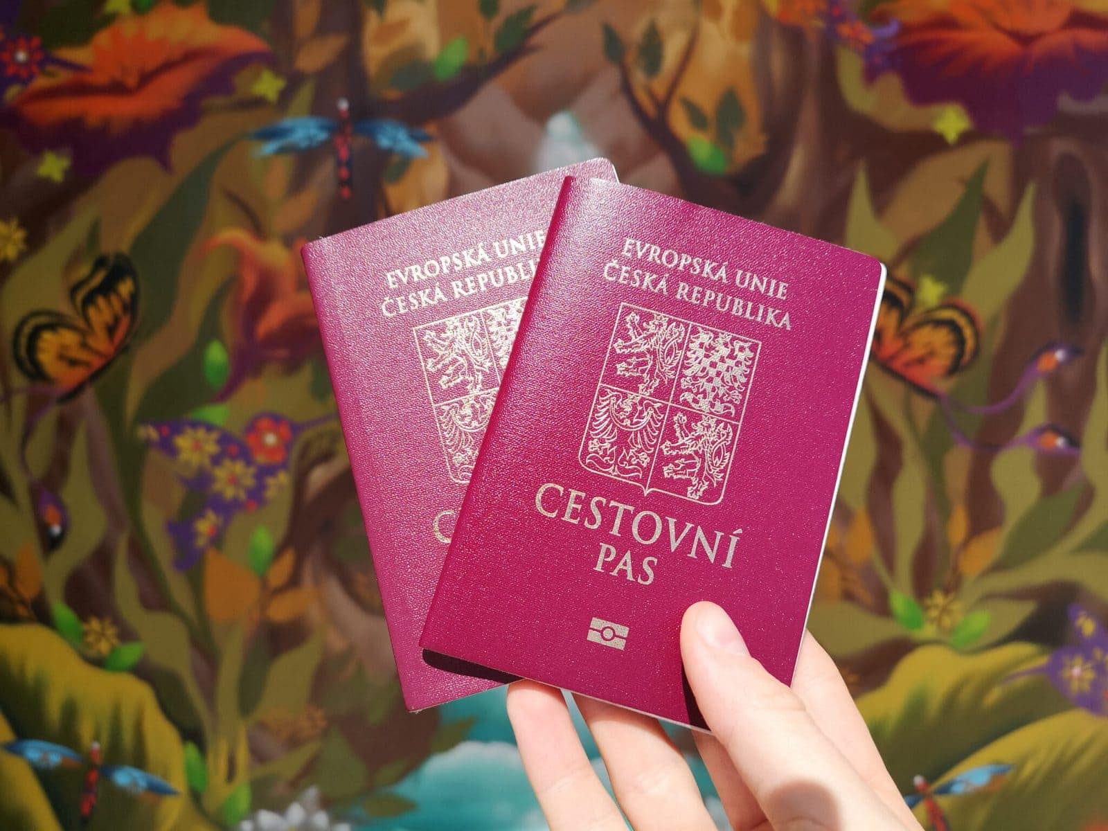 12 tipů, jak bezpečně cestovat (nejen po Asii) 3 Pořiďte si druhý pas jako zálohu