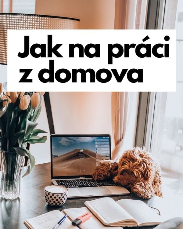 Jak na práci z domova