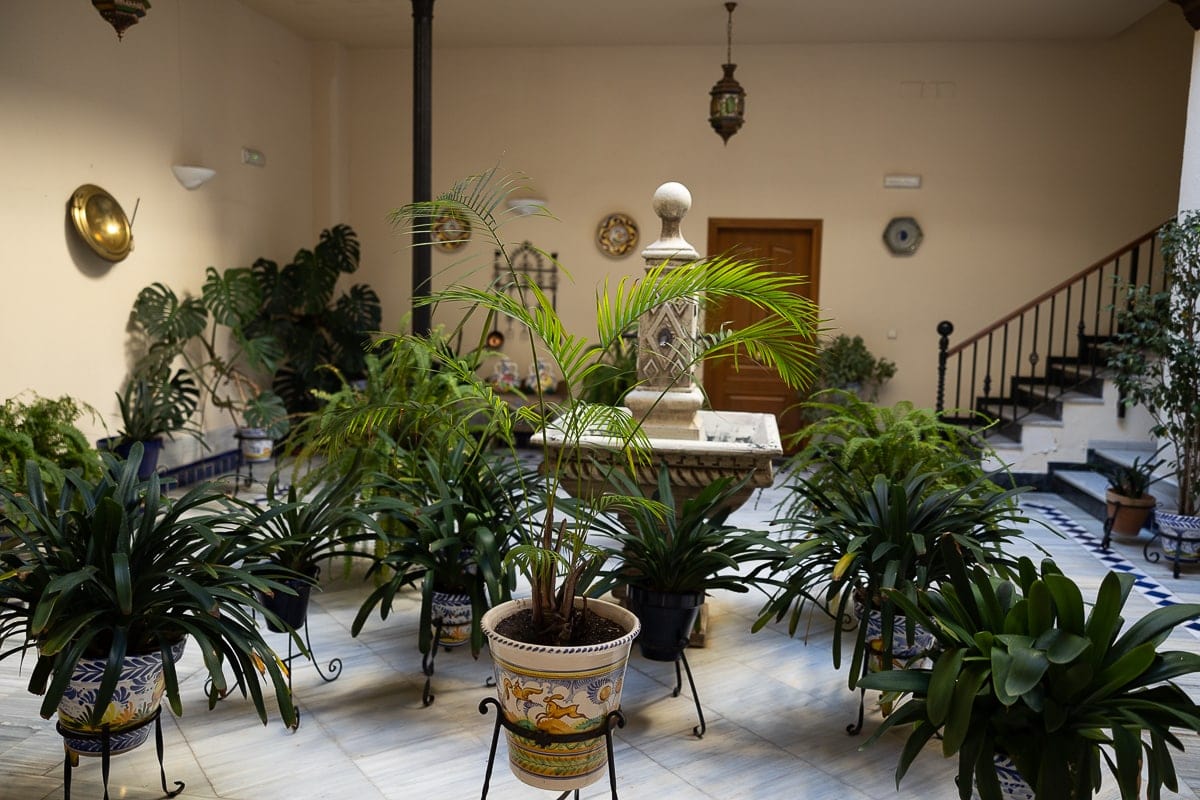 Every May, Cordoba's courtyards compete to see which one is the most beautiful.  
