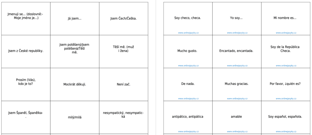 Příklad, jak vypadají slovíčka ve formě kartiček