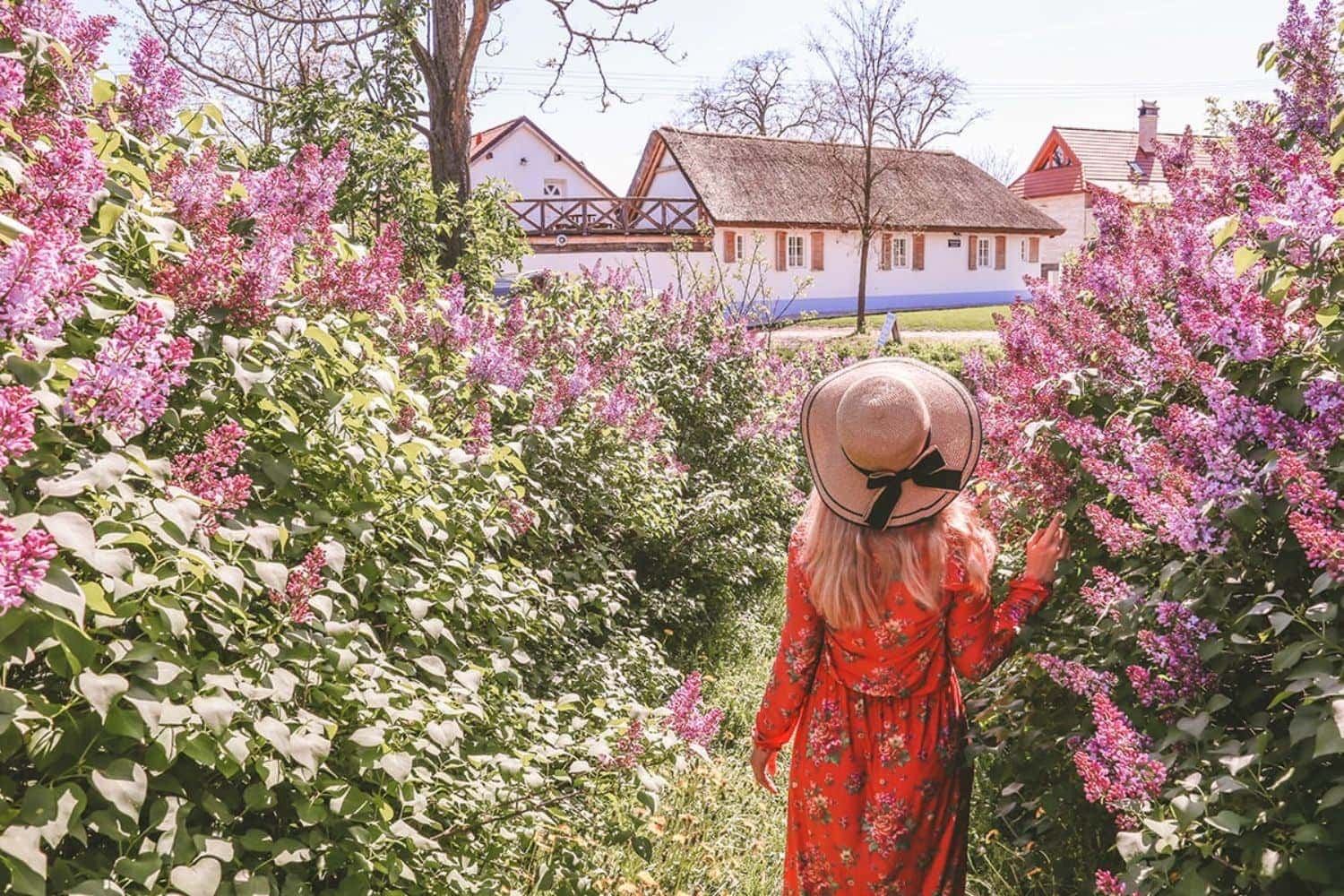 Pastuška près de Mikulov