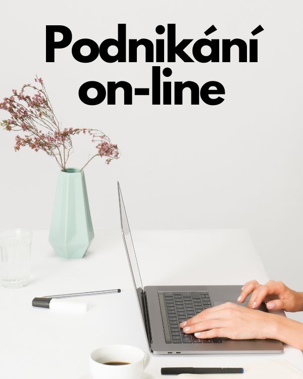 Podnikání online