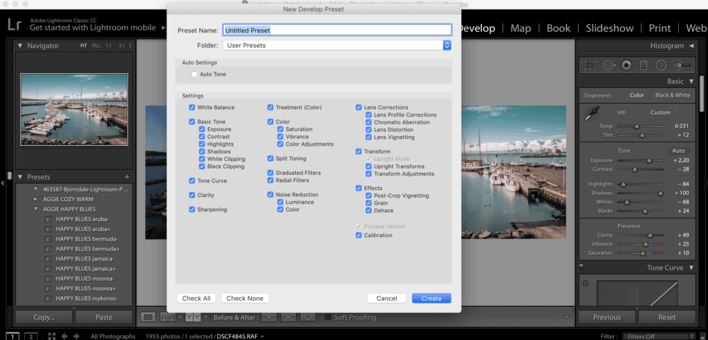 Jak upravovat fotky v Lightroomu a používat presety 11 presety v Lightroomu
