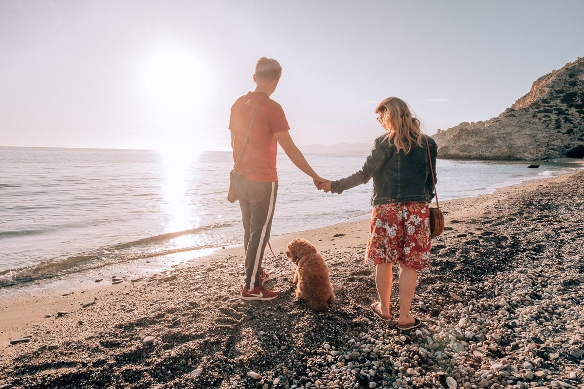 Pravidelné procházky