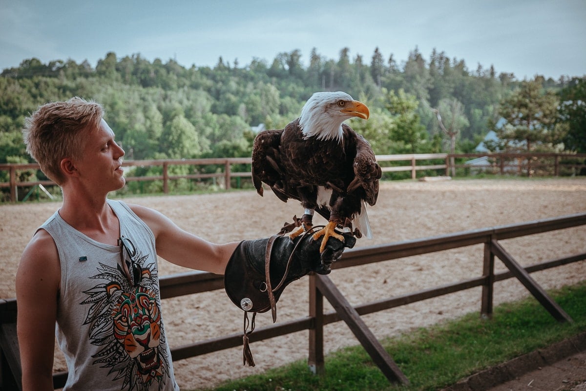 L'unica scuola con la falconeria come materia obbligatoria