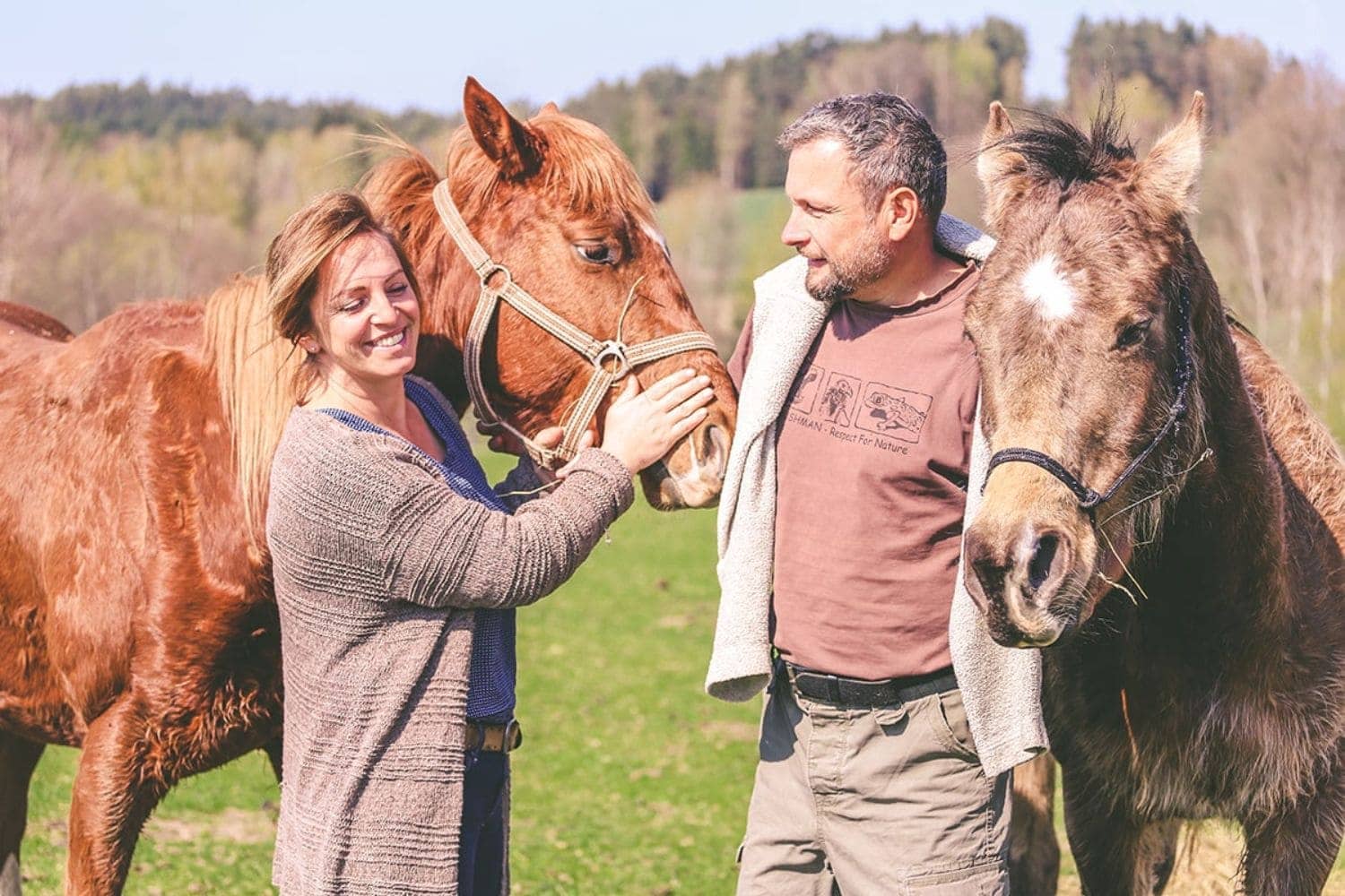 Statek Polžov chevaux