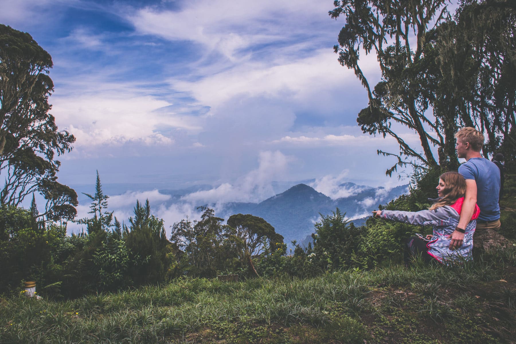 Ruwenzori Mountains, měsíční hory se sněhem a ledovci v Ugandě