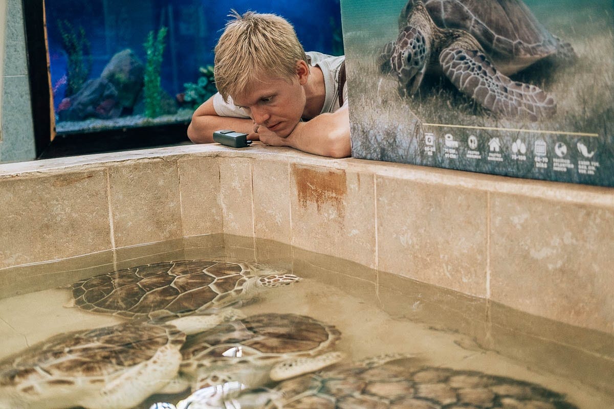 Isla Mujeres: tipy na výlety, jedlo a ubytovanie 4 Korytnačí sirotinec na ostrove Isla Mujeres