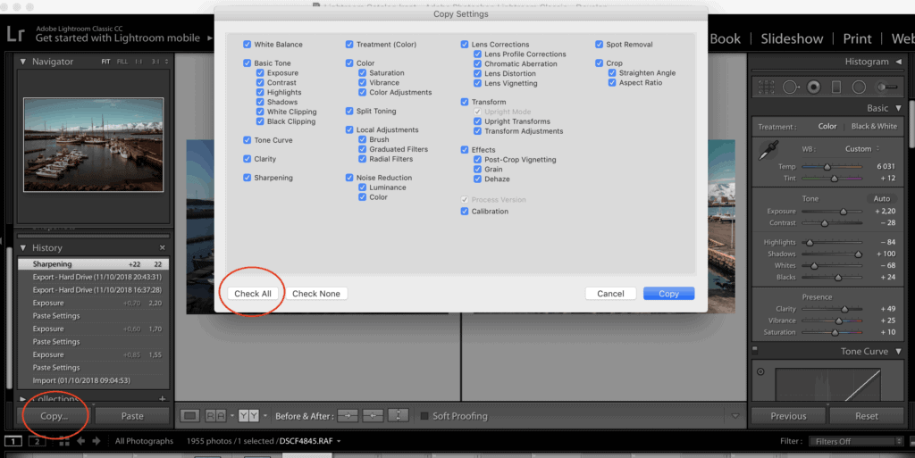 Jak upravovat fotky v Lightroomu a používat presety 9 presety v Lightroomu