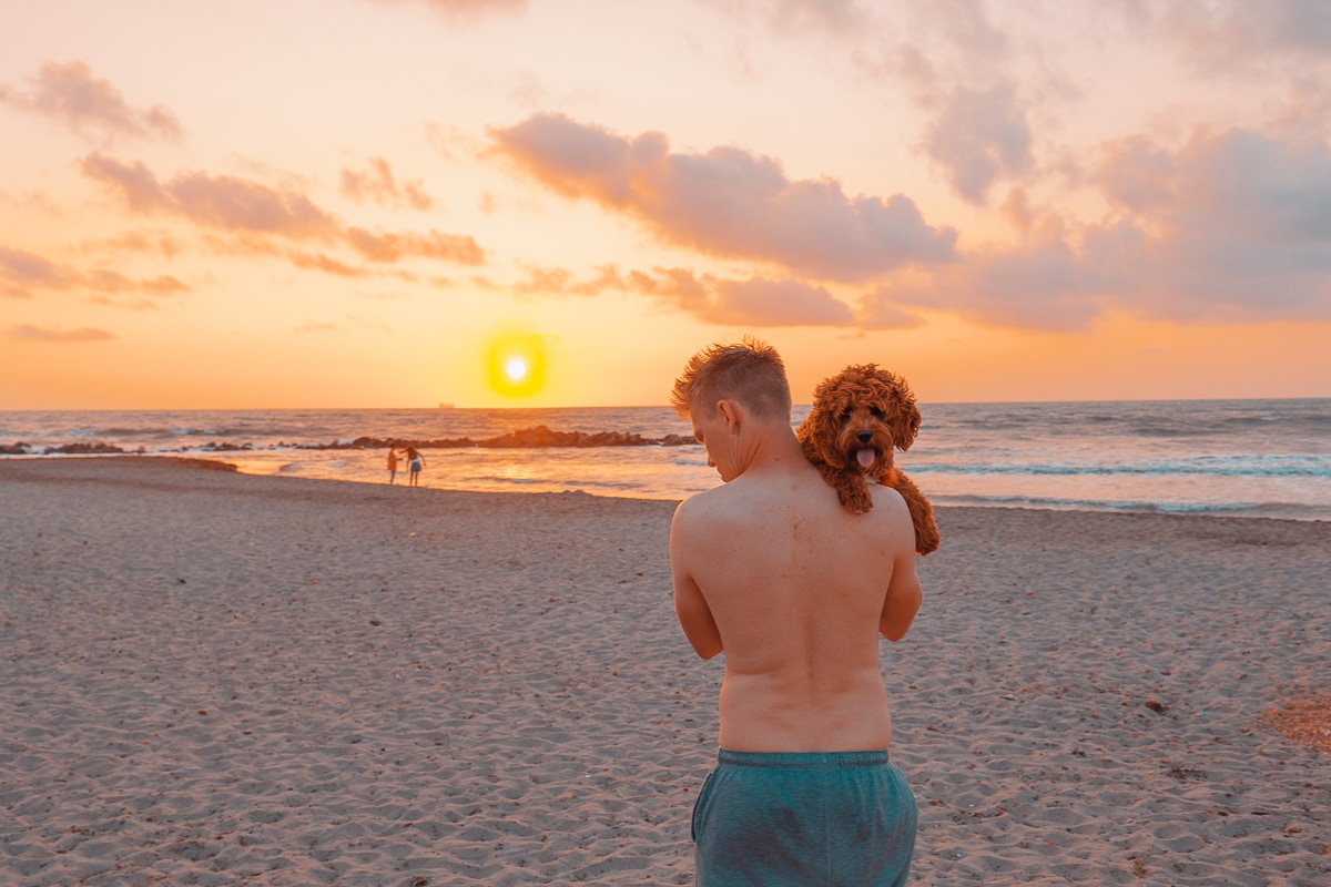 Viaggiare con i cani in Albania