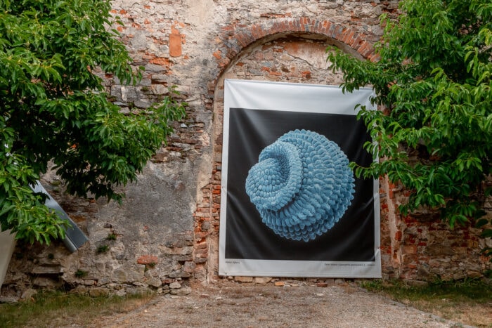 Il Museo della fotografia ha anche un bellissimo parco 