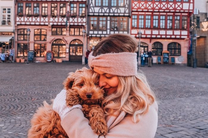 Cosa vedere a Norimberga: monumenti, zoo e delfinario