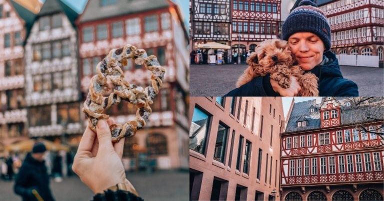 Cosa vedere a Norimberga: monumenti, zoo e delfinario