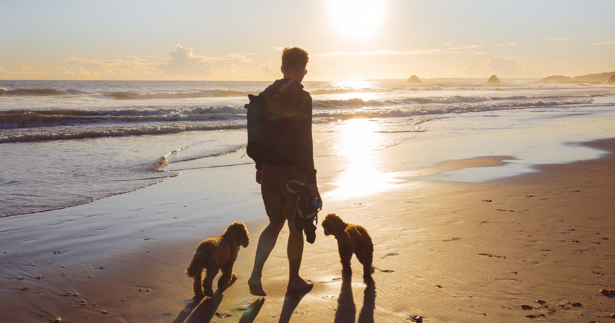 Jedna z najkrajších pláží v Algarve - Praia Rocha v Portimao