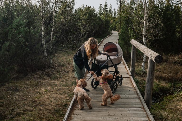 La Bohême avec une poussette