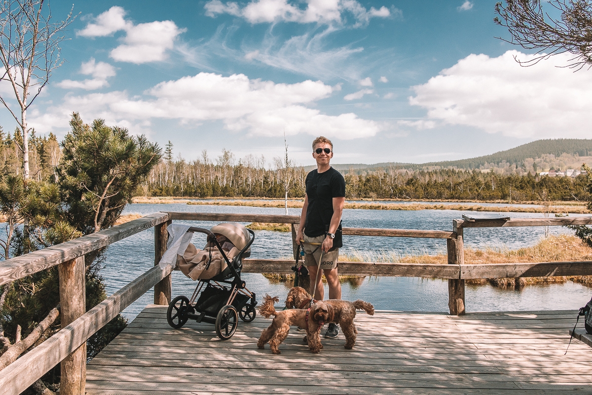 Šumava s kočárkem – Chalupská slať