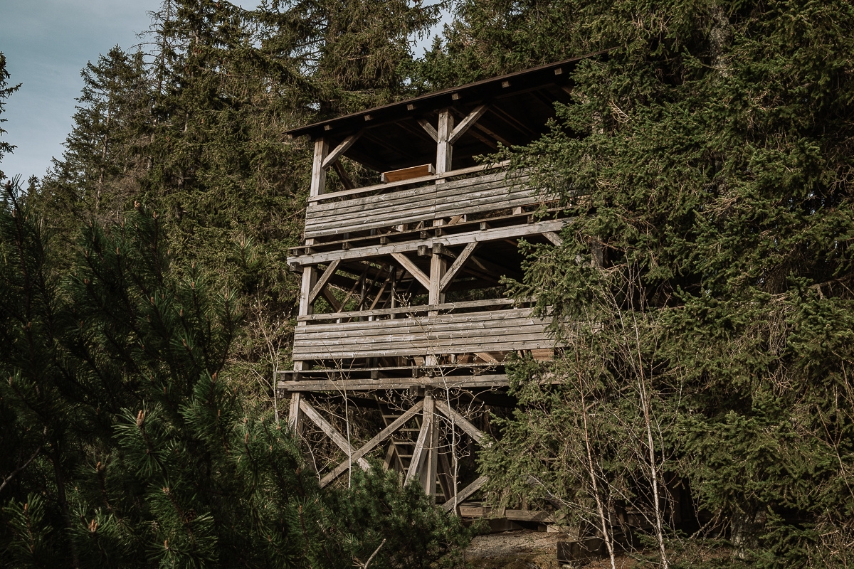 Šumava s kočárkem – Jezerní slať