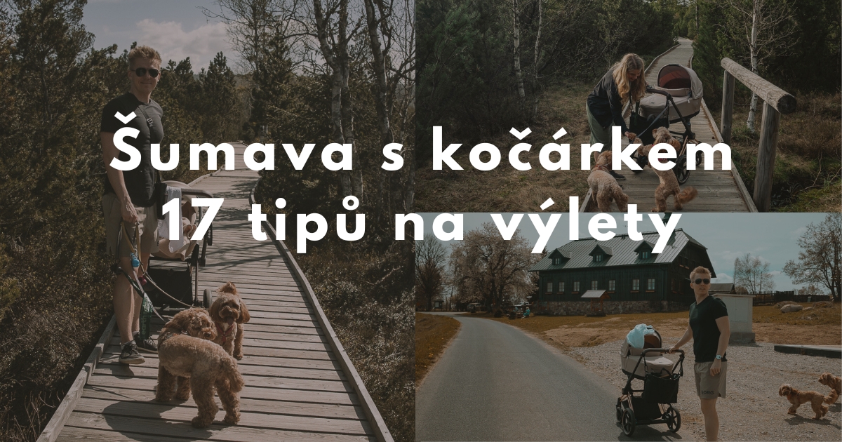 Šumava s kočárkem