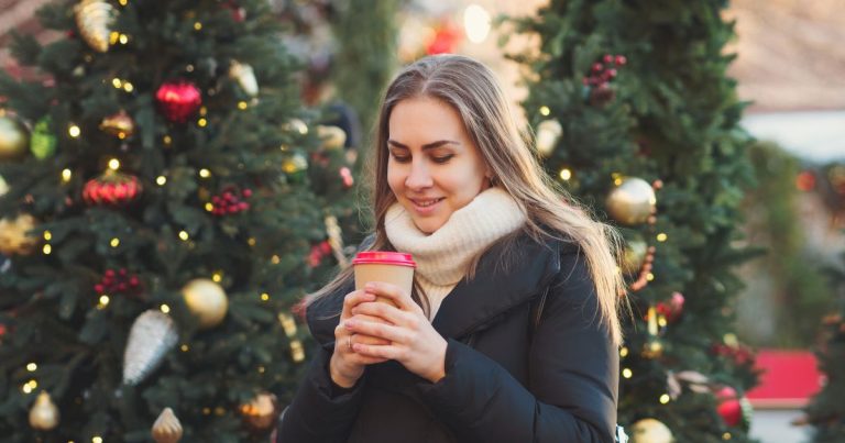 Vánoční trhy Hradec Králové