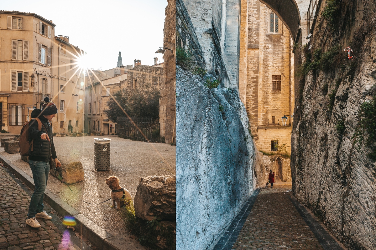 Avignone, Francia: Cosa vedere e fare