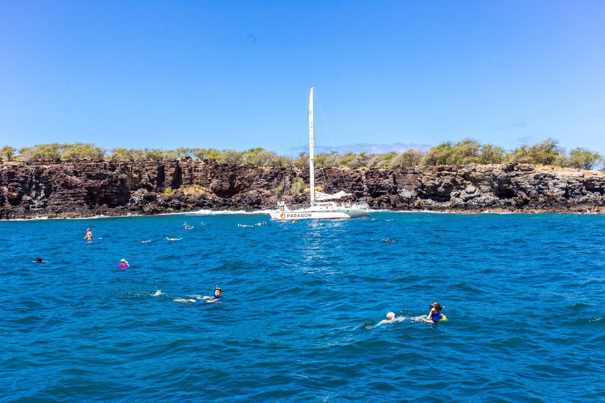 Noi siamo stati a Maui solo per fare snorkeling, perché non era la stagione delle balene, ma sono stato a vedere le balene da Vancouver Island ed è stato fantastico