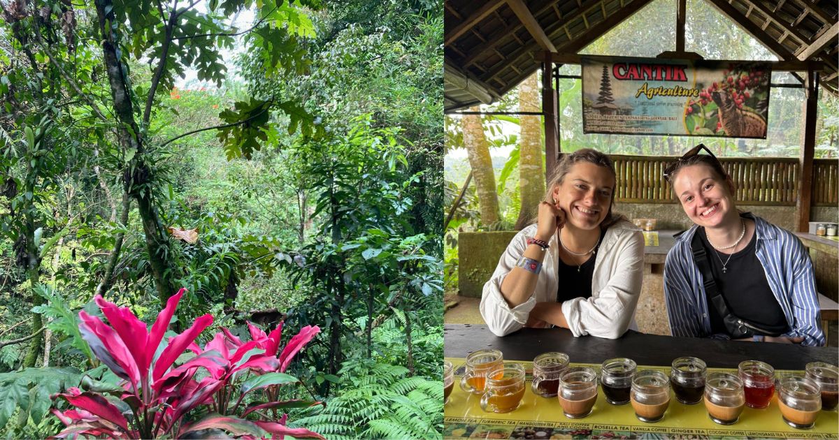 Kaffeeverkostung auf einer Kaffeeplantage