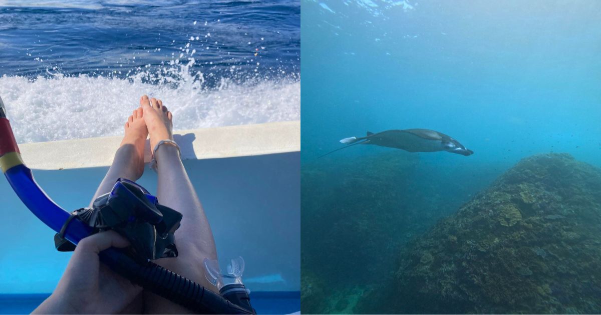 Snorkeling con le mante