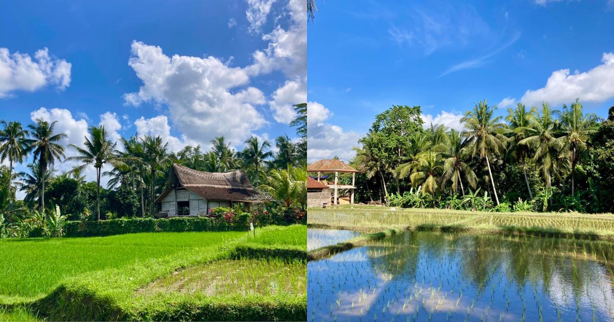Ubud, Bali Indonesia