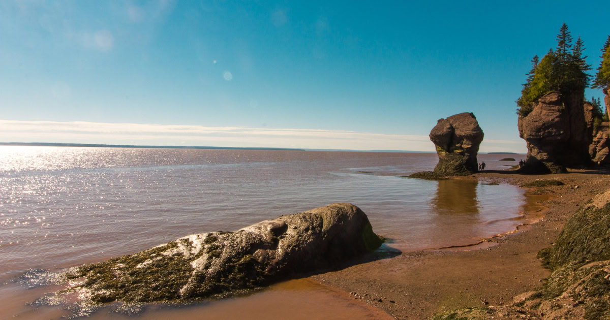 Bay of Fundy cosa vedere e fare nel New Brunswick