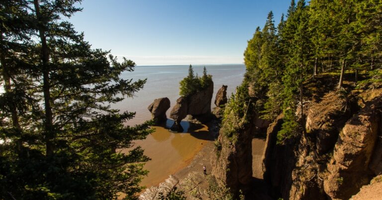 Bay of Fundy e Hopewell Rocks: 13 consigli su cosa vedere e fare