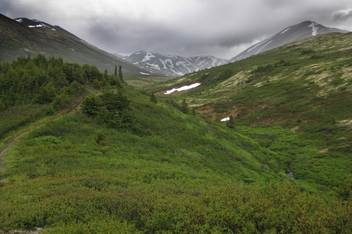 Flattop Mountain Alaska