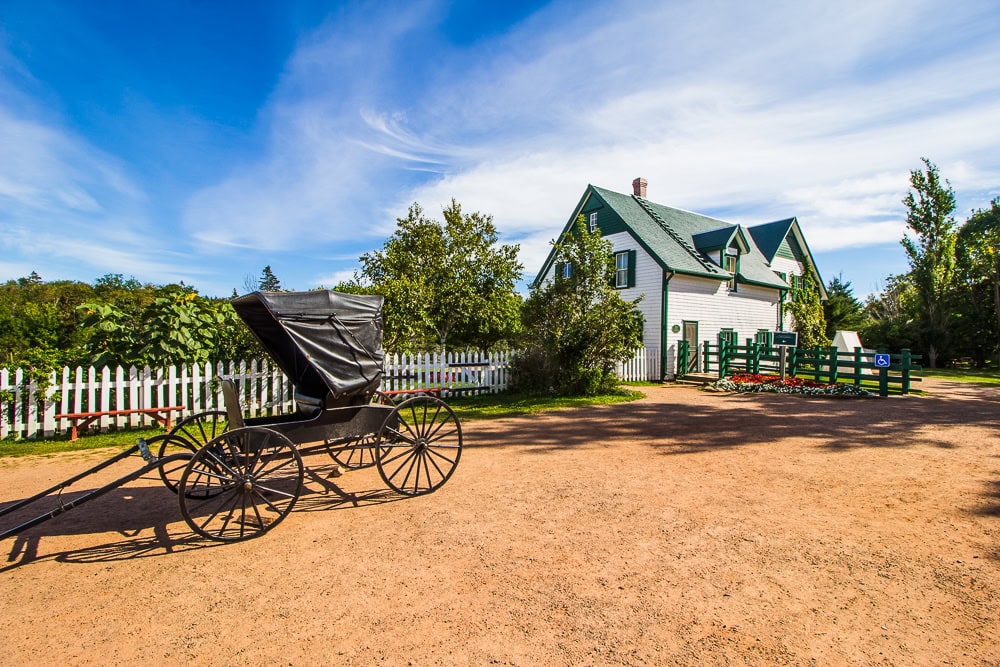 Katze vor dem grünen Haus auf Prince Edward Island
