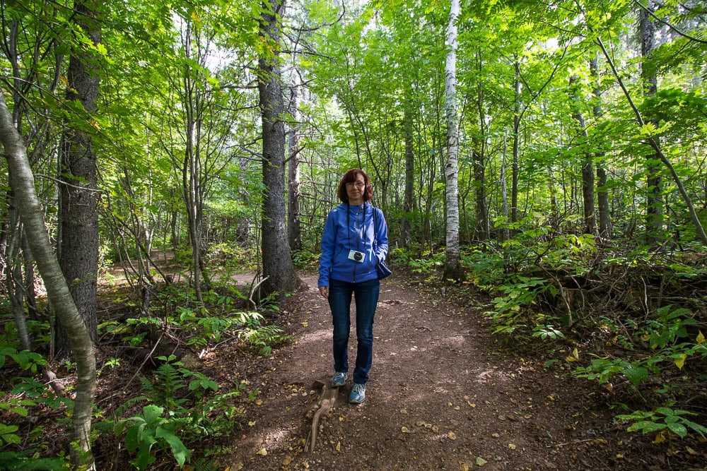Spaziergang auf dem Haunted Wood Trail bei Green Gables